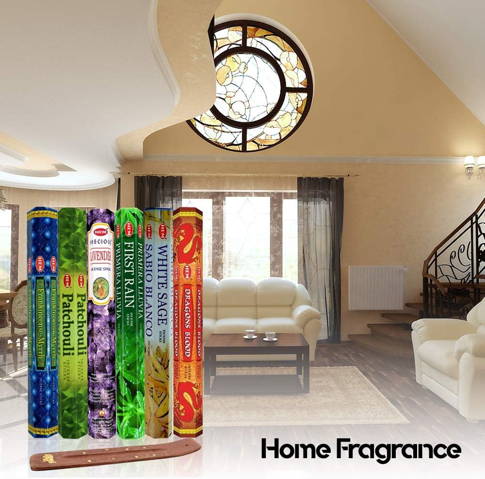 Six Most Popular HEM Incense Scents With Free Burner - 40 Sticks Each of Dragon's Blood, Frankincense & Myrrh, Patchouli, Precious Lavender, First Rain, and White Sage 240 TOTAL STICKS