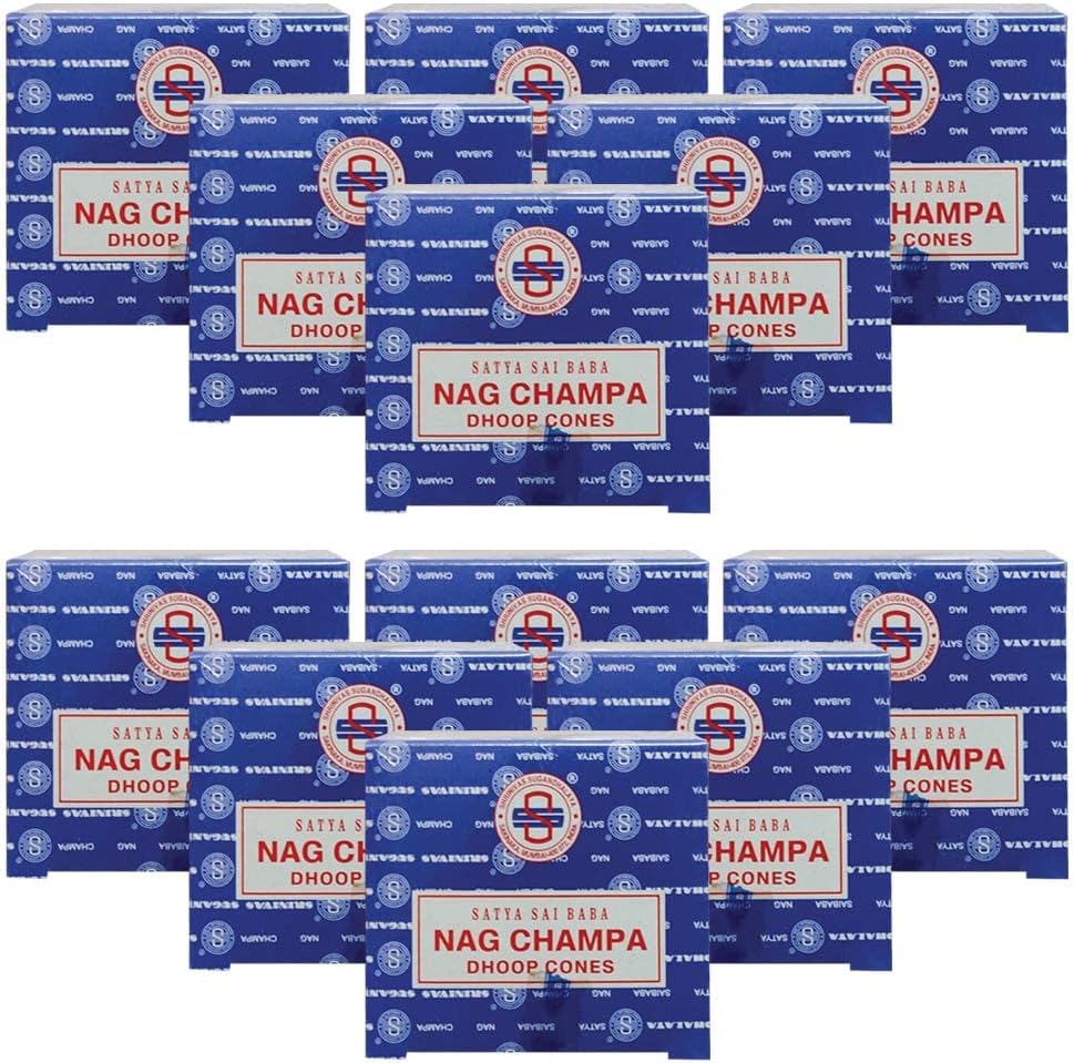 Nag Champa Incense Cones and Cone Incense Burner Bundle Insence Insense Satya Incense