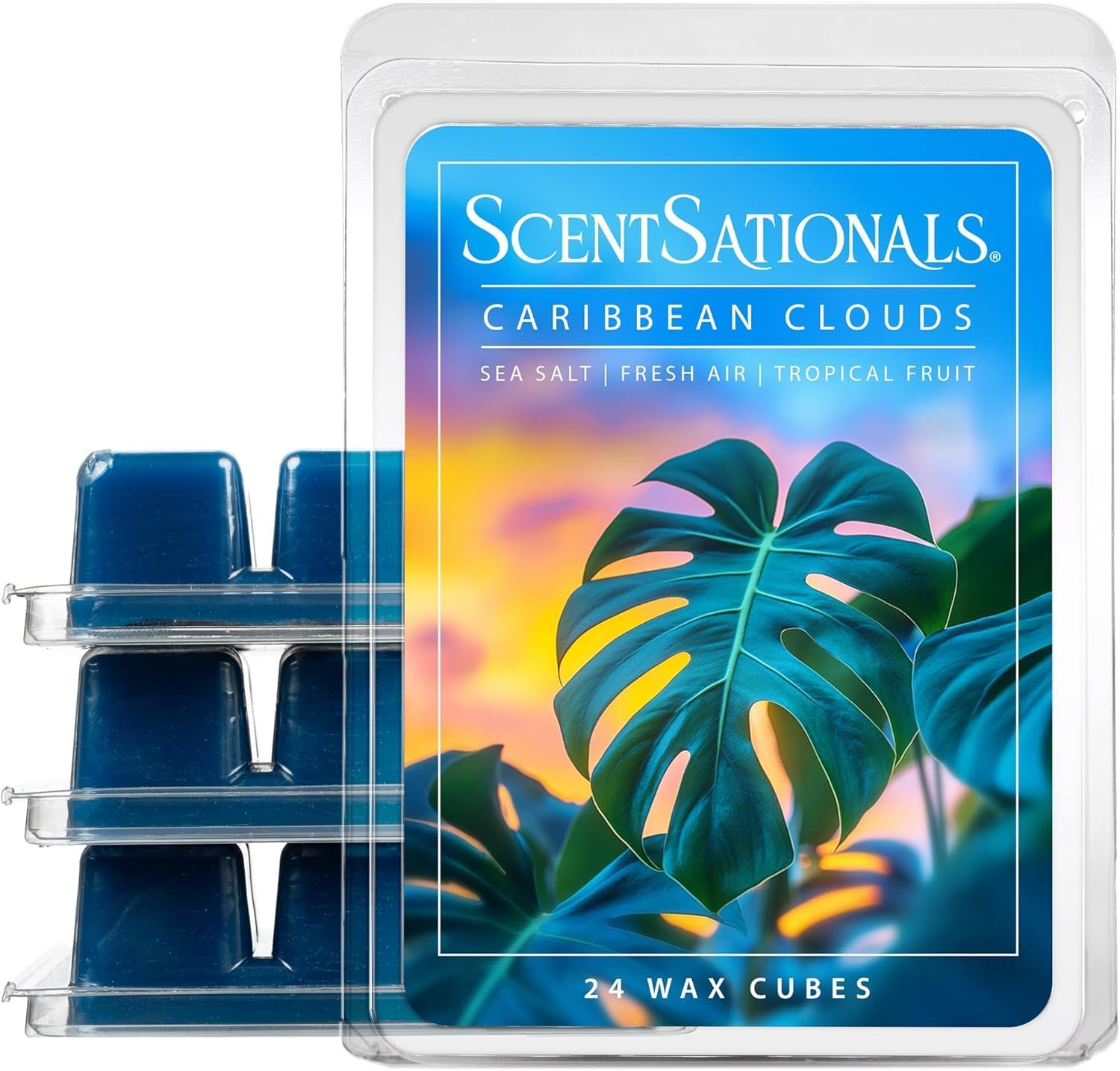 ScentSationals Caribbean Clouds Scented Wax Melts - Sea Salt, Fresh Air, & Tropical Fruits, 10oz (24 Cubes)