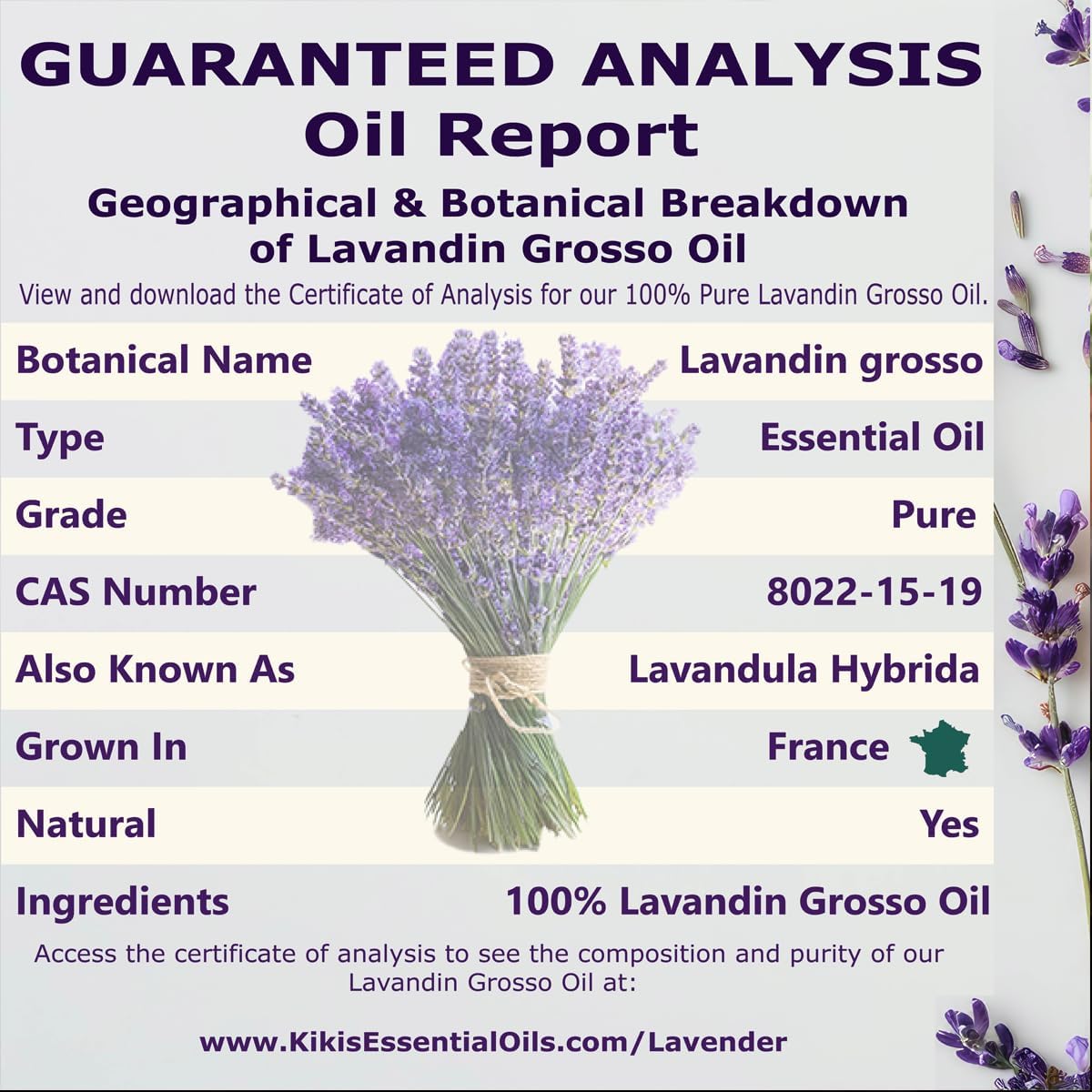 Kiki's Lavender Essential Oil with Glass Dropper | 100% Pure and Natural Lavender Oil | Premium Grade Essential Oils for Diffusers, Skin, Aromatherapy, Massage | 4 Fl Oz