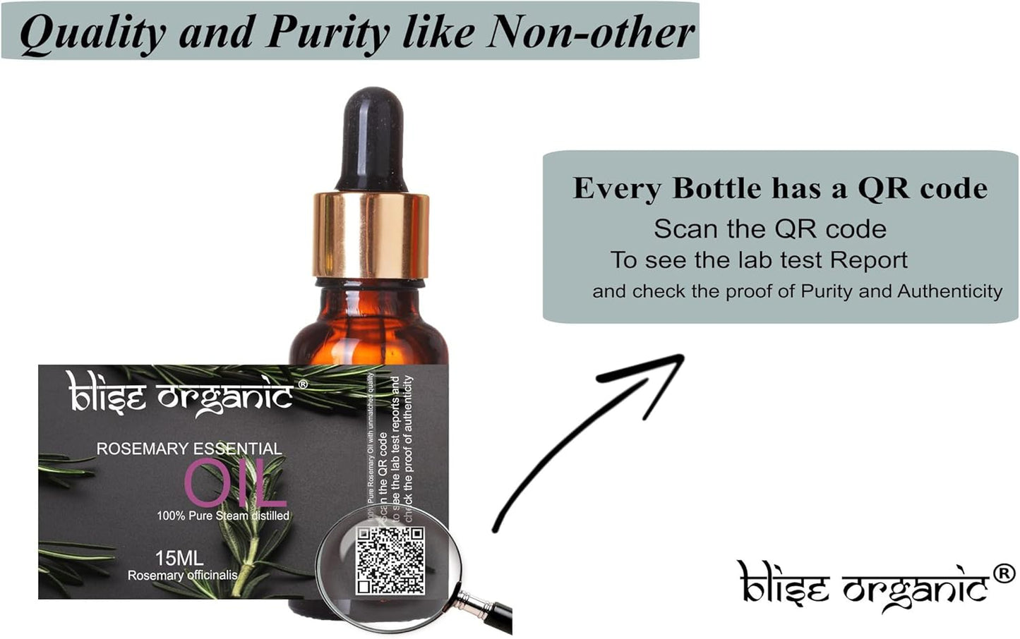 Blise organic Rosemary Essential Oil -100% Pure and Naturals for Hair Fall Control and Hair Growth, Undiluted, Natural Aromatherapy for Diffuser, Therapeutic Grade 15 mL (0.5 oz), Non GMO