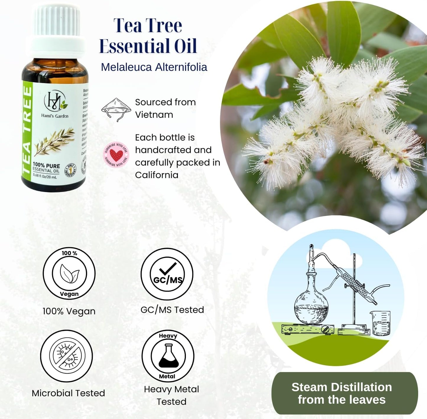 Hami’s Garden Tea Tree Essential Oil – 100% Pure and Natural – Premium Grade with Glass Dropper – for Massage, Skin Care, Household Application and Diffuser – 0.68 fl Oz/20 mL
