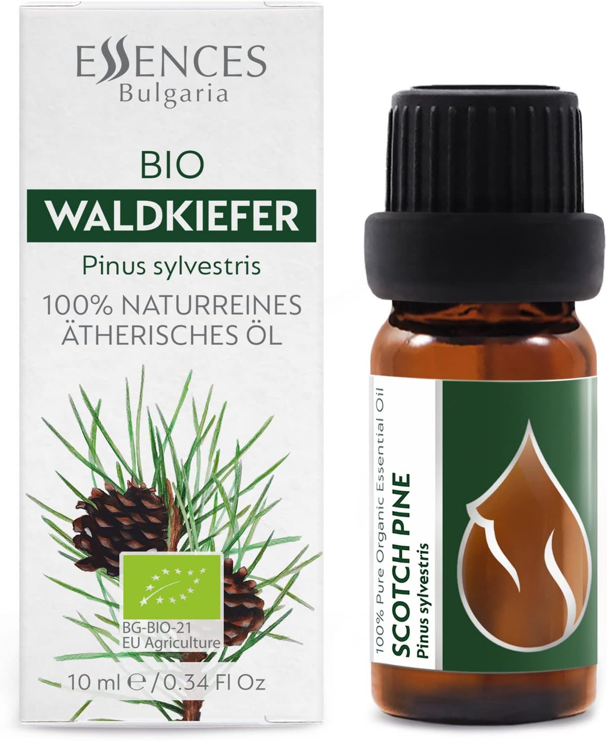Organic Scotch Pine Essential Oil 1/3 Fl Oz (10ml) Pinus Sylvestris - 100% Pure Natural and Undiluted Therapeutic Grade for Aromatherapy Diffuser Humidifier Skin Care DIY Cosmetics