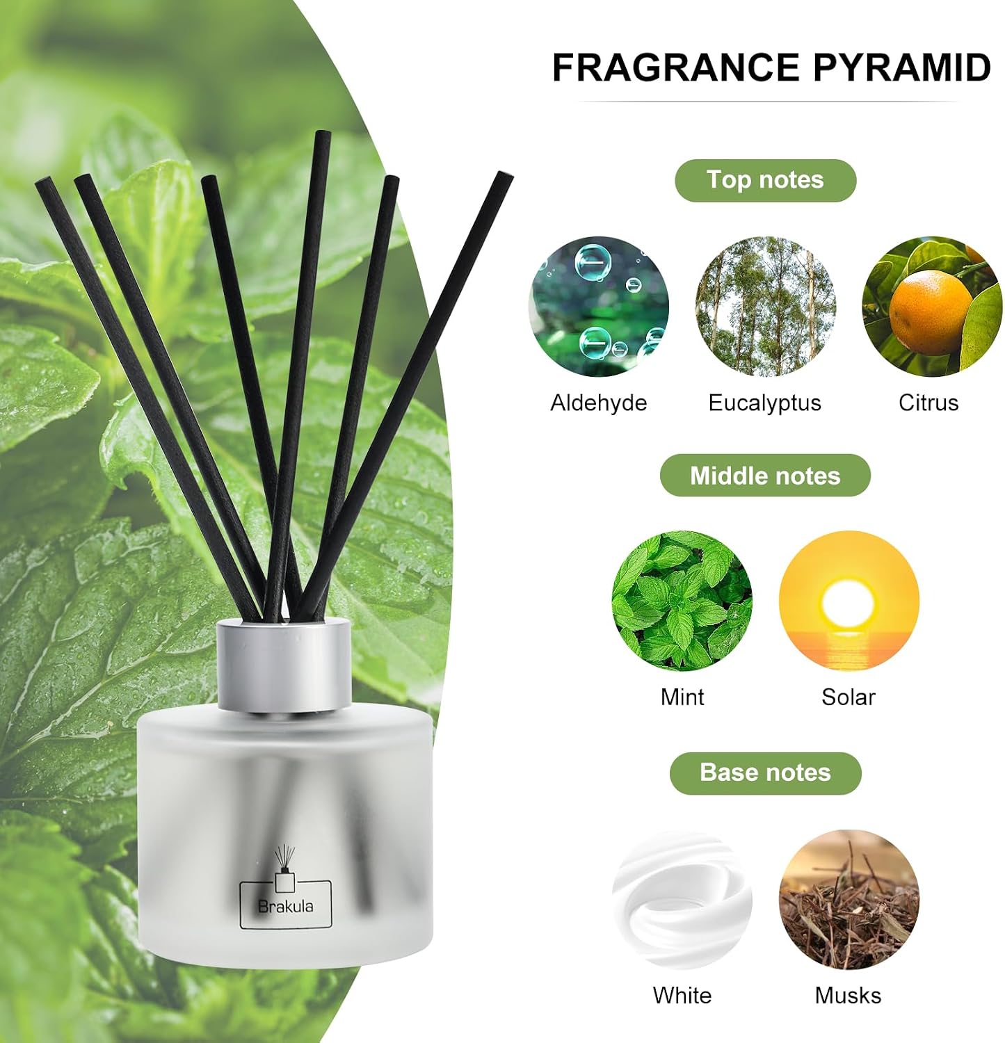 Brakula Reed Diffuser Set- Eucalyptus & Mint Scented Home Fragrance, 3.4OZ(100ml) x 2, Essential Oil Diffuser for Living Room, Bathroom & Guest Rooms