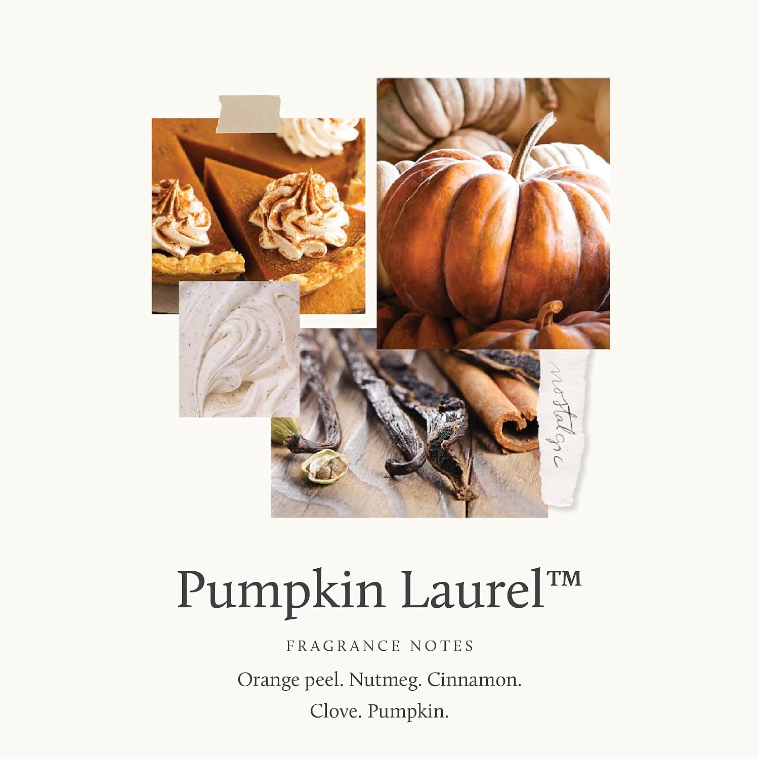 Thymes Pumpkin Laurel Reed Diffuser Oil Refill – Home Fragrance Oil for Diffuser – Fall Reed Diffuser Refill – Fall Oil Scents for Diffuser – Aromatherapy Diffuser Oils Scents (7.75 fl oz)