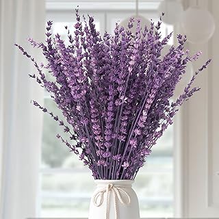 Dried Lavender Flowers, Preserved Lavender Bouquet 15-17 Inches, Purple Lavender Bundle for Shower, Home Decor, Vase Filler, Wedding Decorations, Aromatherapy, DIY Crafts, 50g(1.76oz)