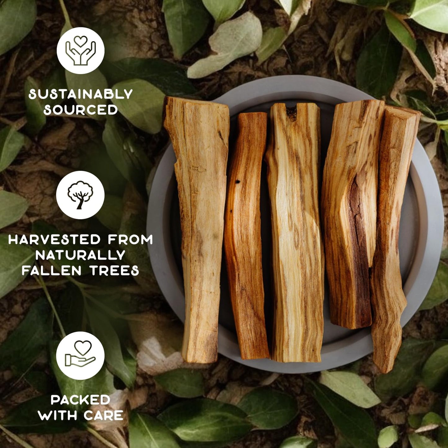 Purple Canyon Palo Santo Incense Sticks - 12 Pack | Sustainably Harvested Natural Incense for Smudging, Meditation, Cleansing, and Stress Relief