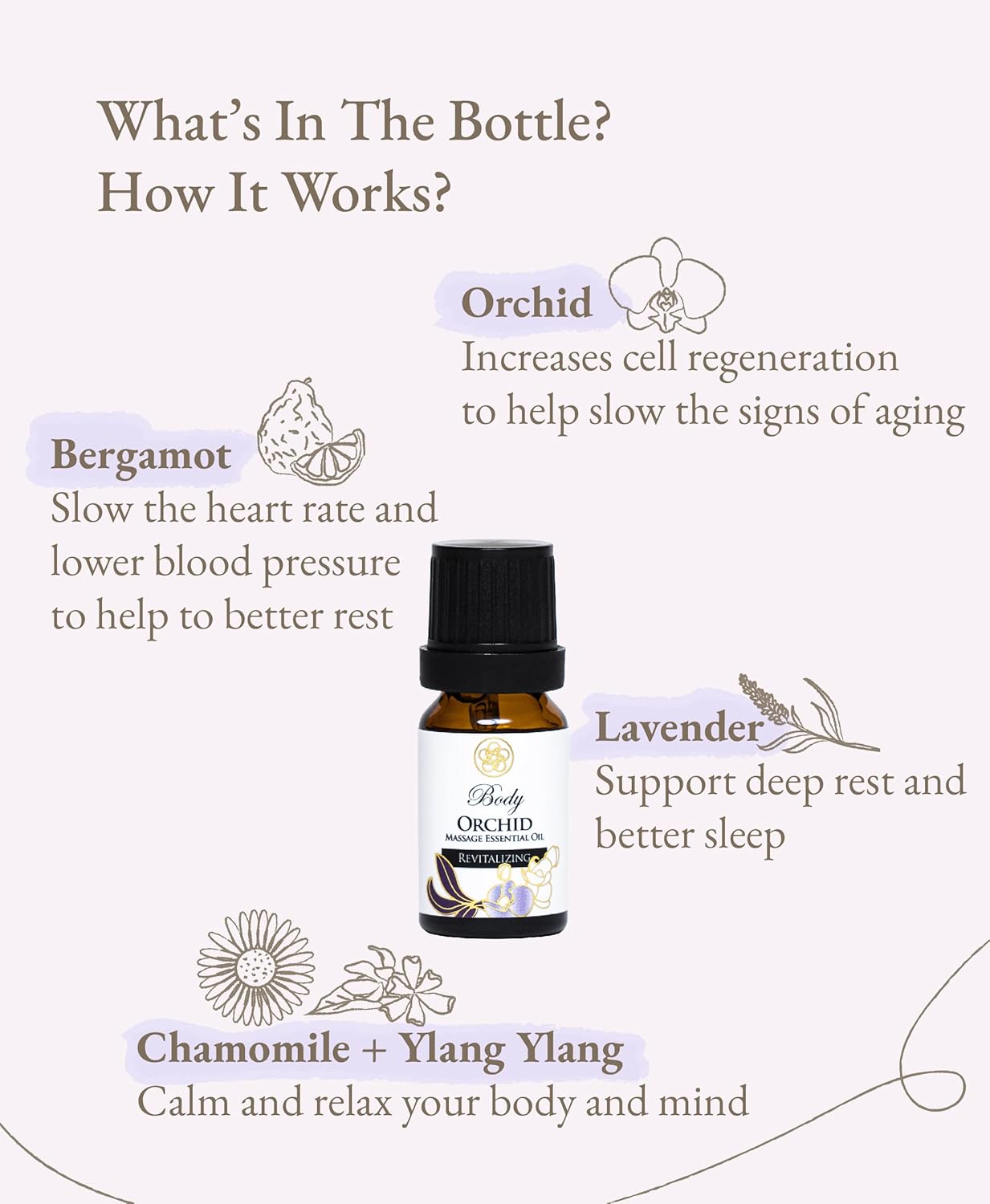100% Organic Essential Oil Blend for Massage, Home Care, Aromatherapy, Natural Ingredients - Orchid, Lavender, Bergamot, Chamomile, Ylang Ylang, 10ML