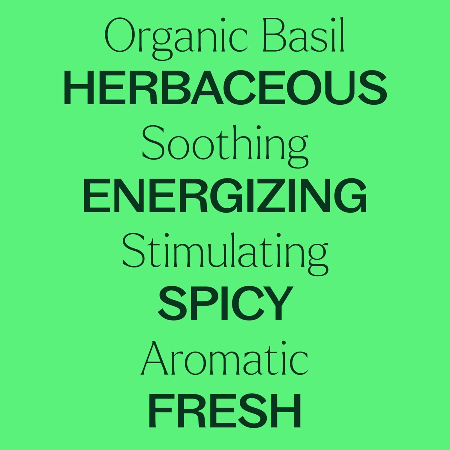 Plant Therapy USDA Certified Organic Basil Linalool Essential Oil 10 mL (1/3 oz) 100% Pure, Undiluted, Aromatherapy, for Muscle Soreness and Digestive Discomfort