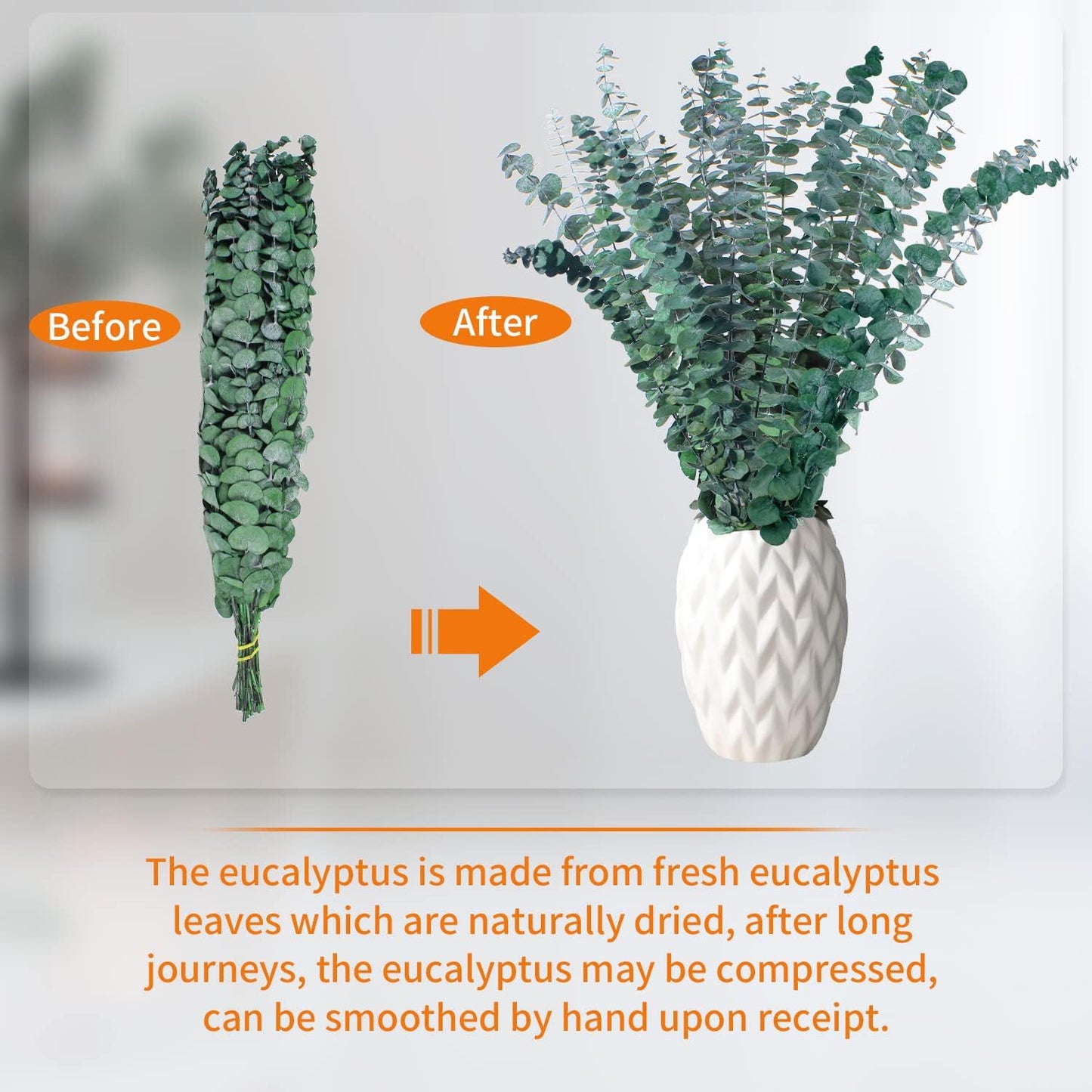 20 Pcs Dried Eucalyptus for Shower - Real Eucalyptus Stems,17'' Fresh 100% Natural Leaves & Aromatic for Shower Spray, Home Decor, Party Present, Wedding Gift