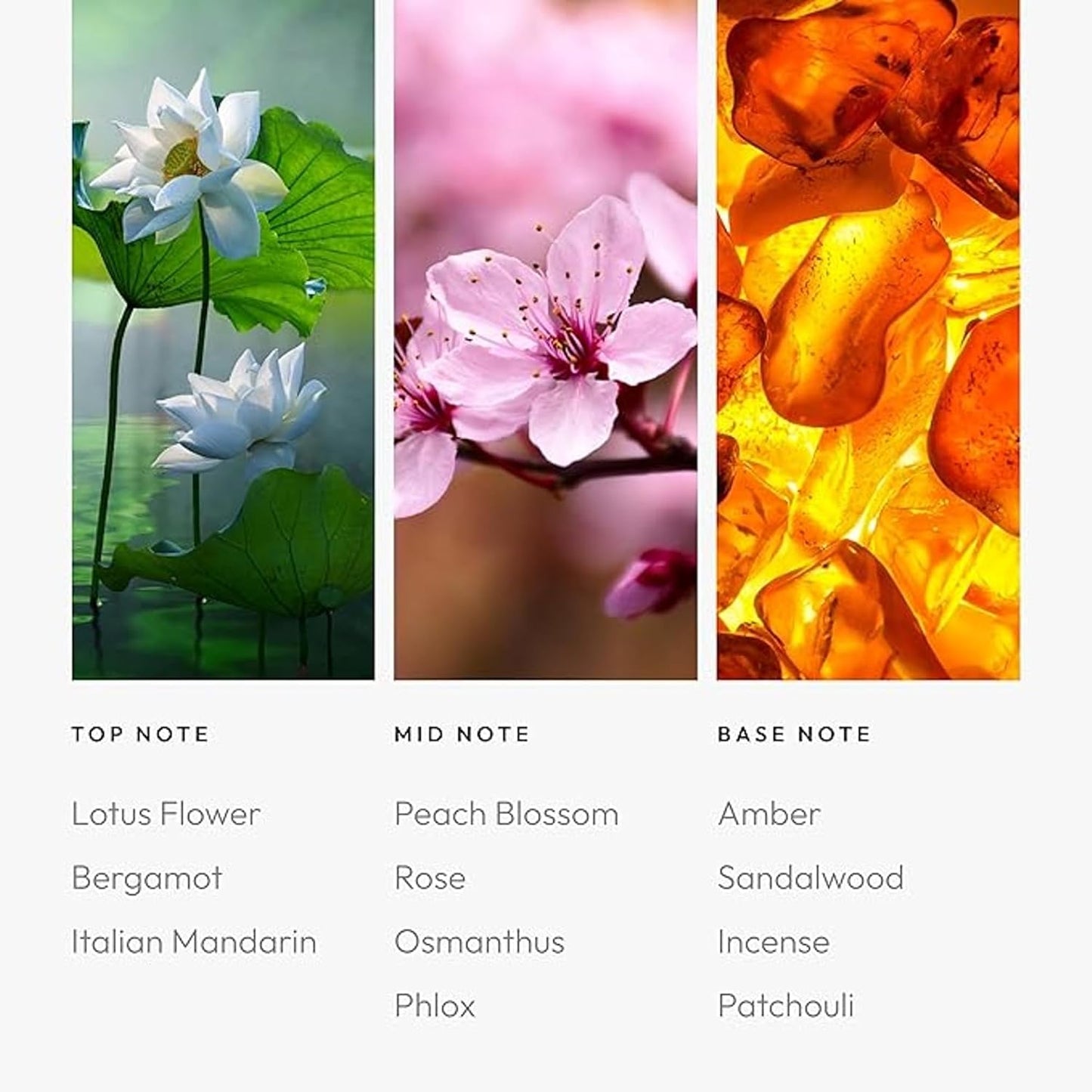 Aroma360 | Heat Elite (Cashmere & Dark Rose) Oil Blend | Miami Heat Edition Essential Diffuser Oil | Aromatherapy Scent Diffuser Oil | Italian Mandarin, Peach Blossom and Patchouli 1.7 fl oz, 50 mL
