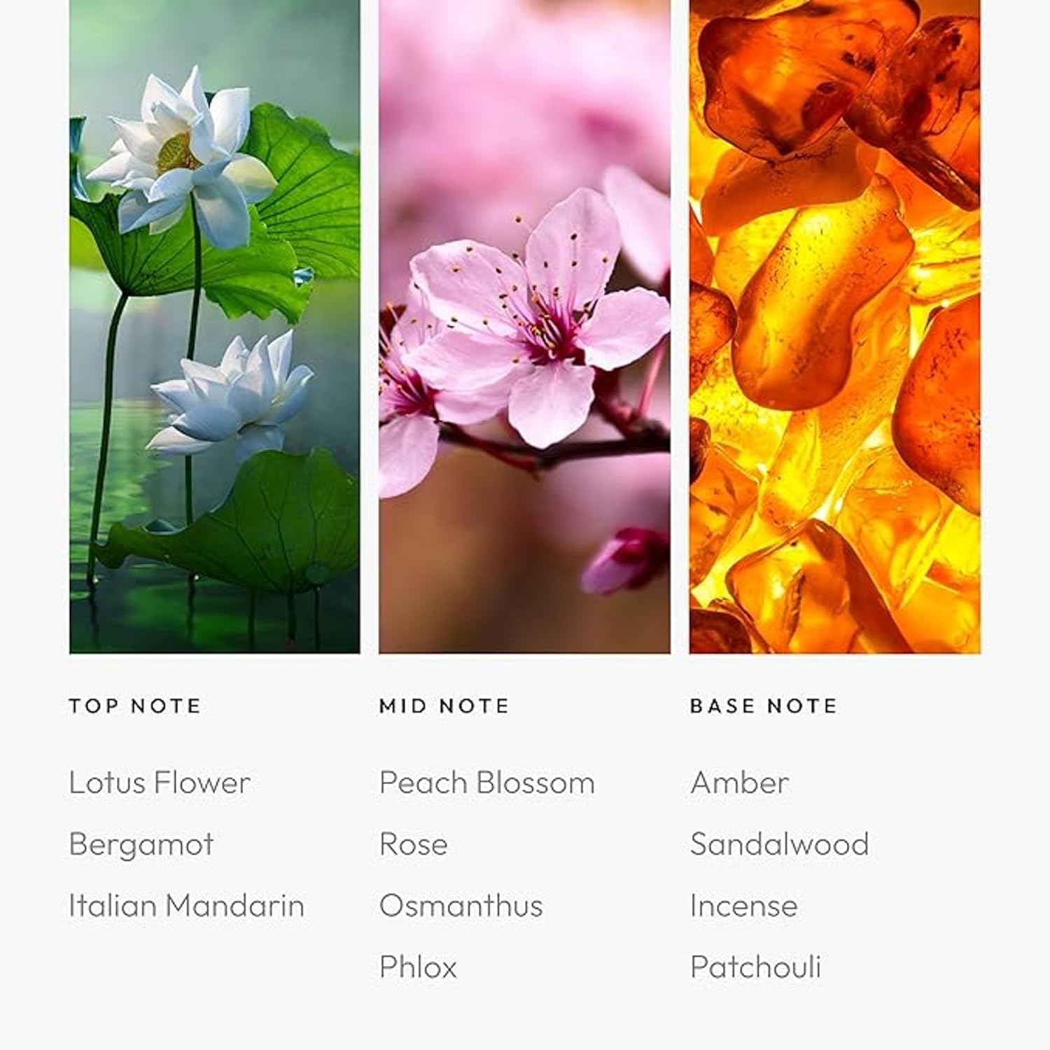 Aroma360 | Heat Elite (Cashmere & Dark Rose) Oil Blend | Miami Heat Edition Essential Diffuser Oil | Aromatherapy Scent Diffuser Oil | Italian Mandarin, Peach Blossom and Patchouli 1.7 fl oz, 50 mL