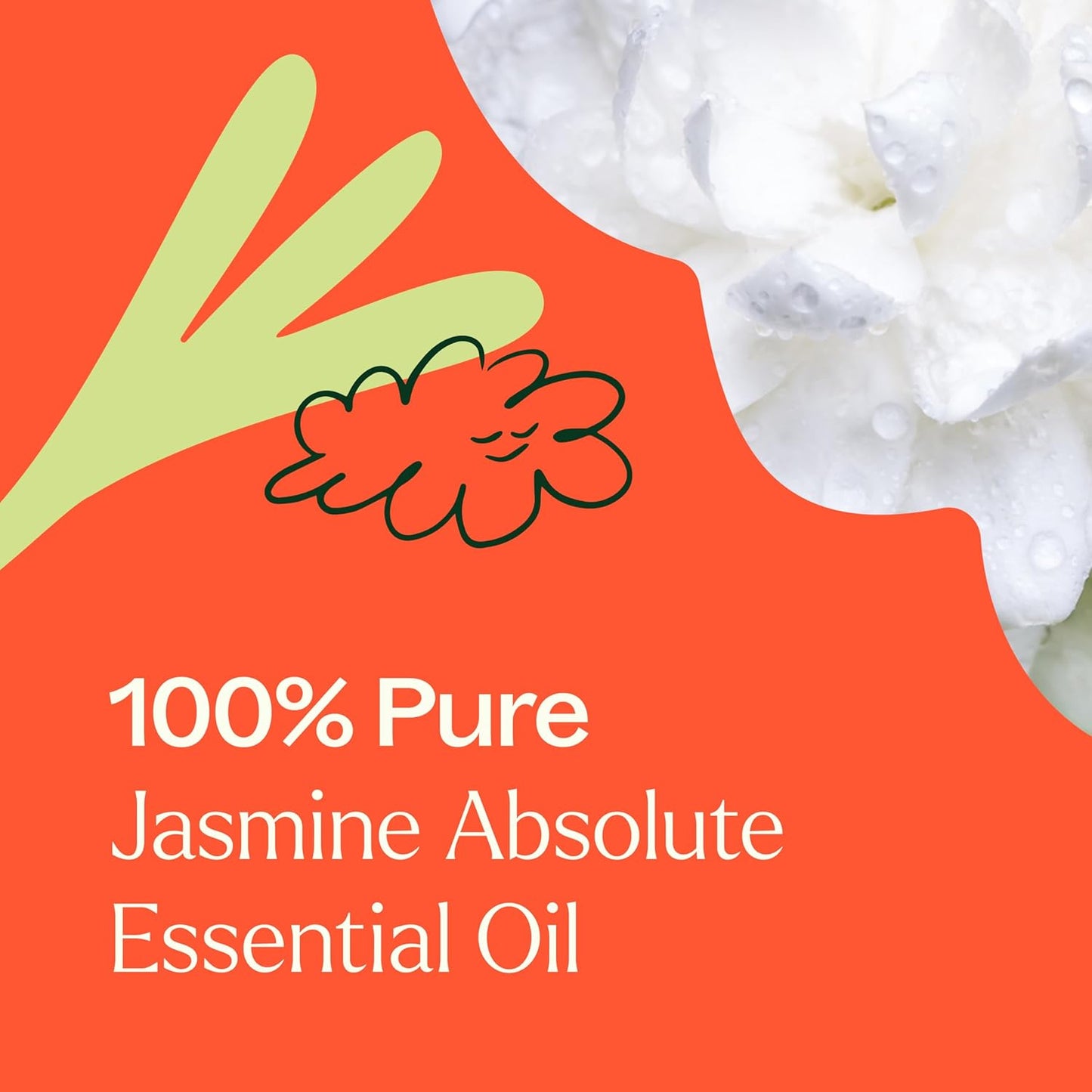 Plant Therapy Jasmine Sambac Absolute Essential Oil, 2.5 mL (1/12 oz), 100% Pure and Undiluted, Great for Skin Care DIYs and Aromatherapy