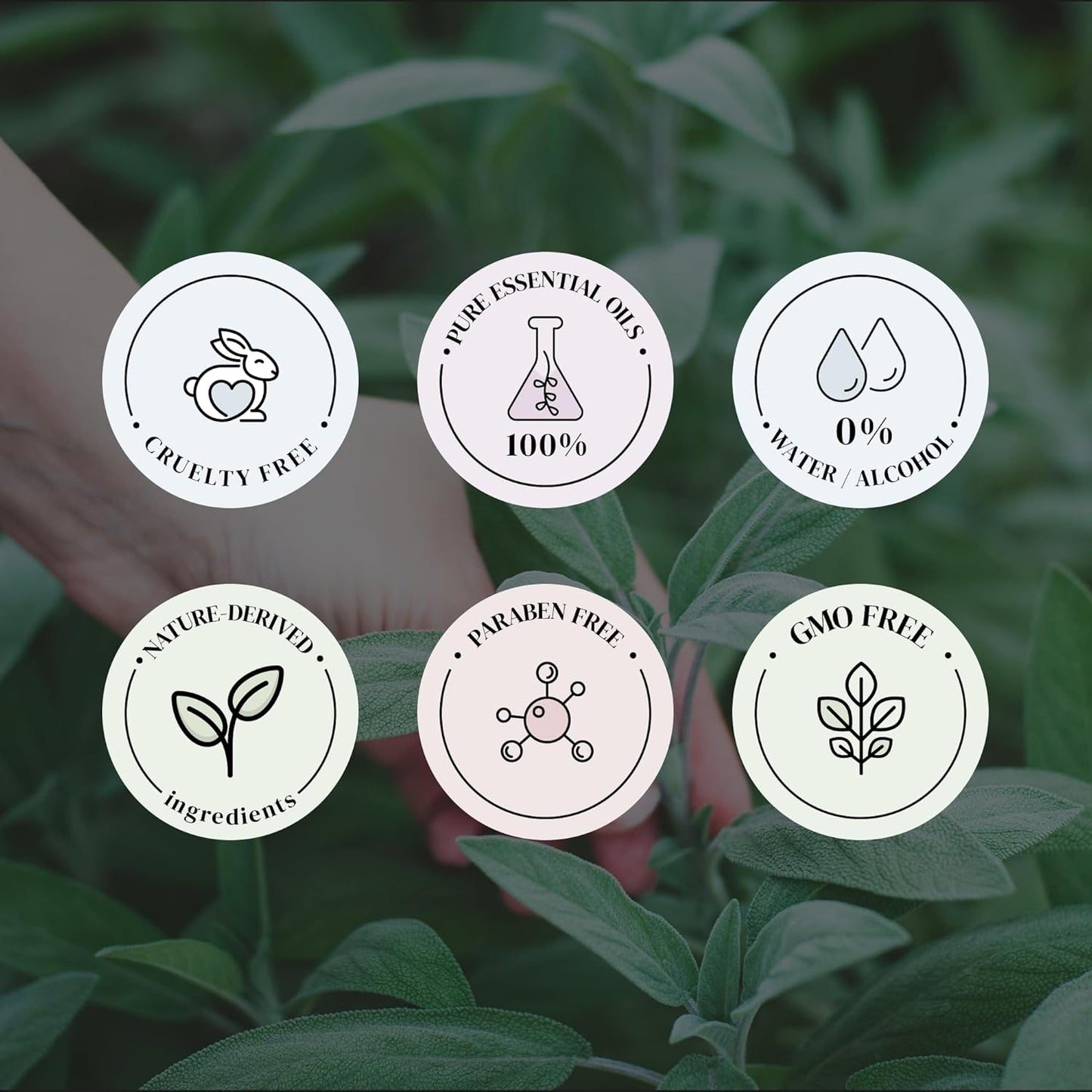 Lemongrass & Sage Essential Oils for Diffusers for Home, Nature-derived Essential Oil, Long-Lasting & Family-Friendly Diffuser Oils Scents, IFRA Certified, Cold Air & Ultrasonic - 4 oz