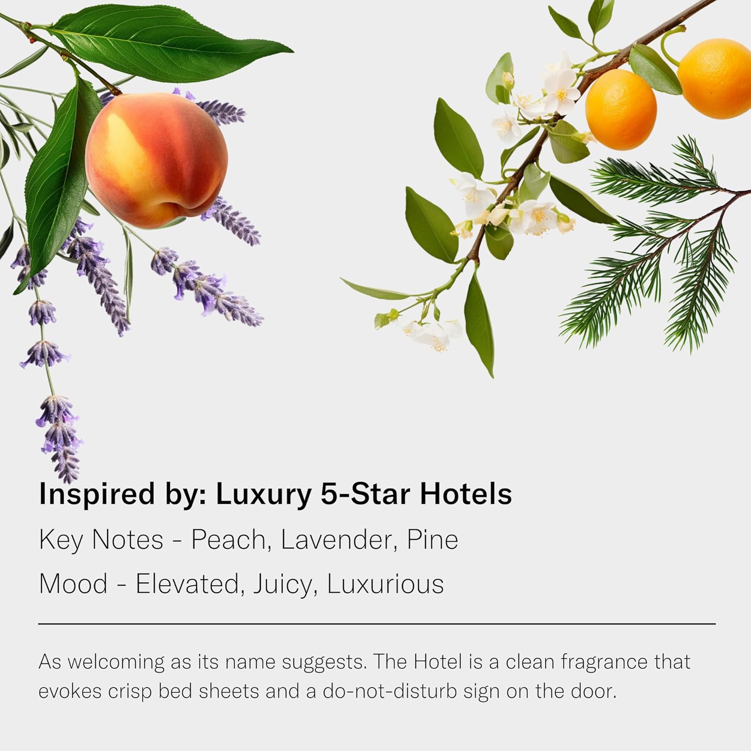 AromaTech The Hotel Aroma Essential Oil Blend: Luxury Hotel Inspired Aromatherapy with Lemon, Lavender, Peach & Pine for Ultrasonic Diffusers & Nebulizers (10 mL, The Hotel)