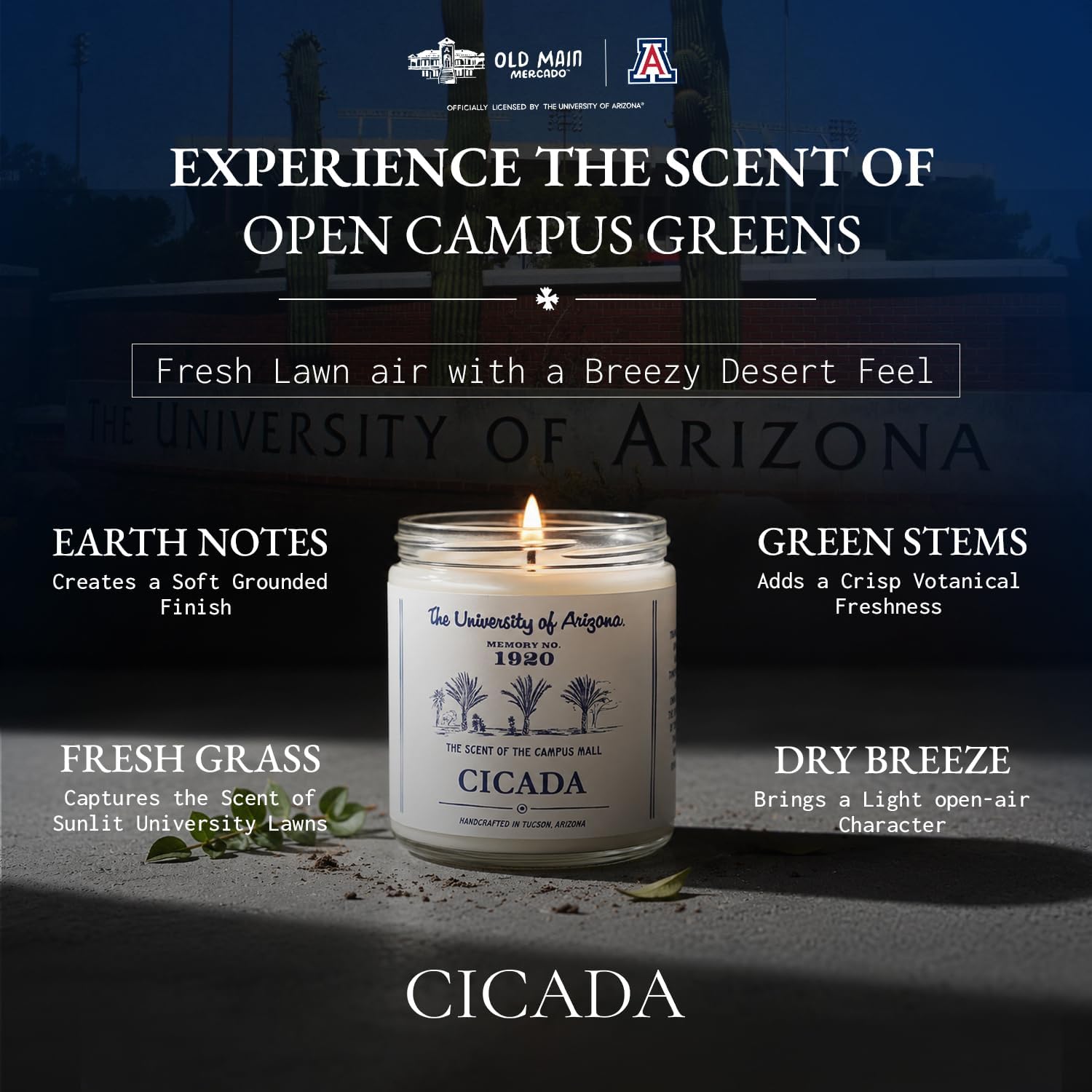 CICADA Campus Mall Scented Candle, Memory No. 1920, University of Arizona Inspired Coconut-Soy Blend Wax, Fresh Cut Grass Green Stems Desert Air Aroma, Hand Poured Arizona Reveries Home Fragrance