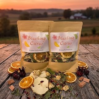 Blushing Citrus Stovetop Potpourri Kit - 2 Pack Natural Simmer Pot with Dried Orange & Apple Slices, Hibiscus Flowers, Rose Petals, Lemongrass, Mint & Cedarwood - Aromatherapy Home Fragrance Gift