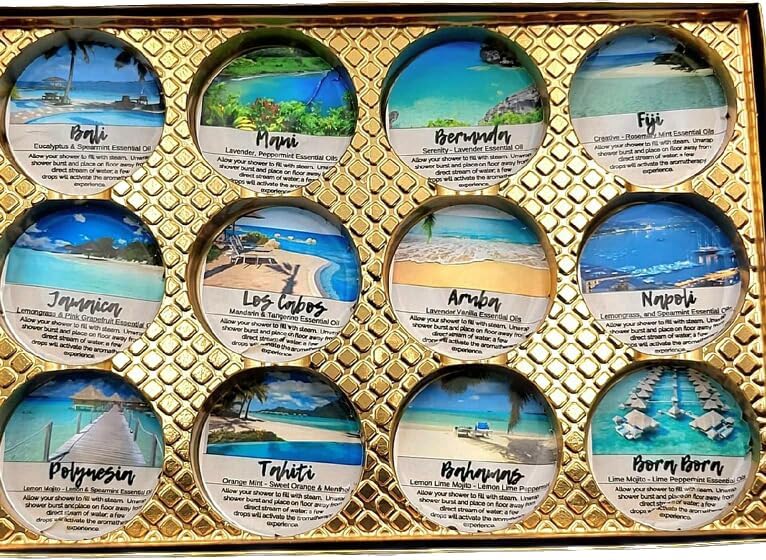 Spa Pure Aromatherapy Shower Bombs: Destination Shower Steamers, Rejuvenating New Scents, Tablets, Bomb, Bath Melts for Women, Men, All Natural (12 Count) Pack of 1 20.0 ounces