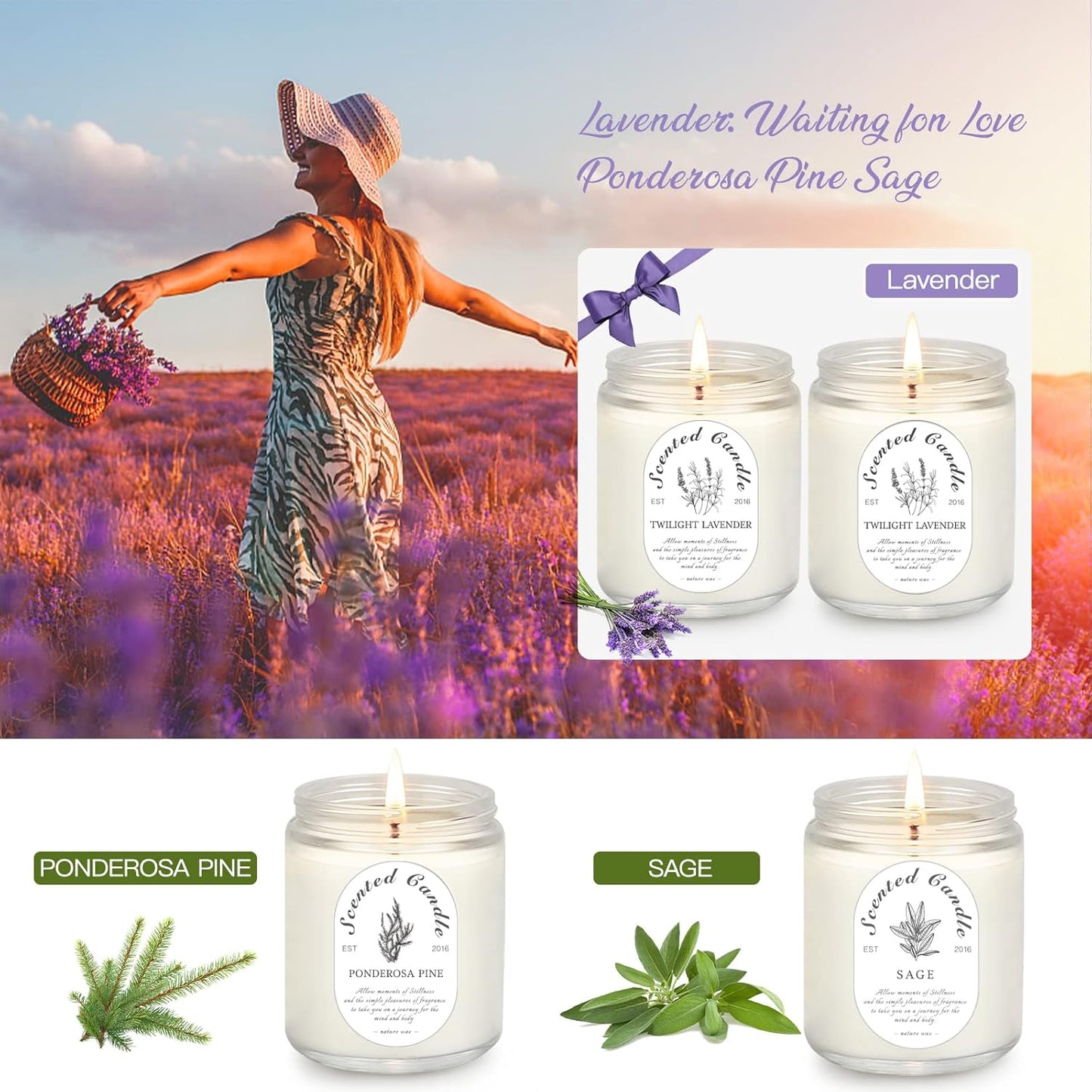 Scented Candle Gift Set, 4 Pack Soy Wax Scented Candles for Home – Lavender, Sage & Ponderosa Pine – Aromatherapy Candles for Relaxation, Stress Relief & Gifts for Women