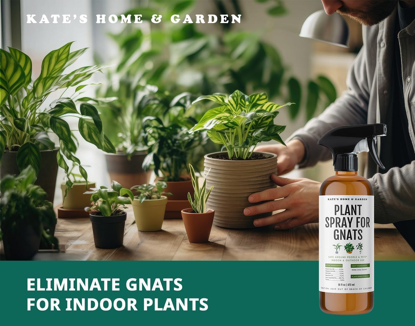 Kate's Home & Garden Plant Spray for Insects & Getting Rid of Gnats with 12 Sticky Traps. Fungus Gnat Killer & Bug Spray for Indoor Plants (16oz, Peppermint, Pet Safe, Non Toxic)