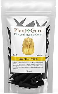 Egyptian Musk Charcoal Incense Cones 2" BACKFLOW - 60 Pack Bulk - Natural Scented Cones Handmade Hand Dipped