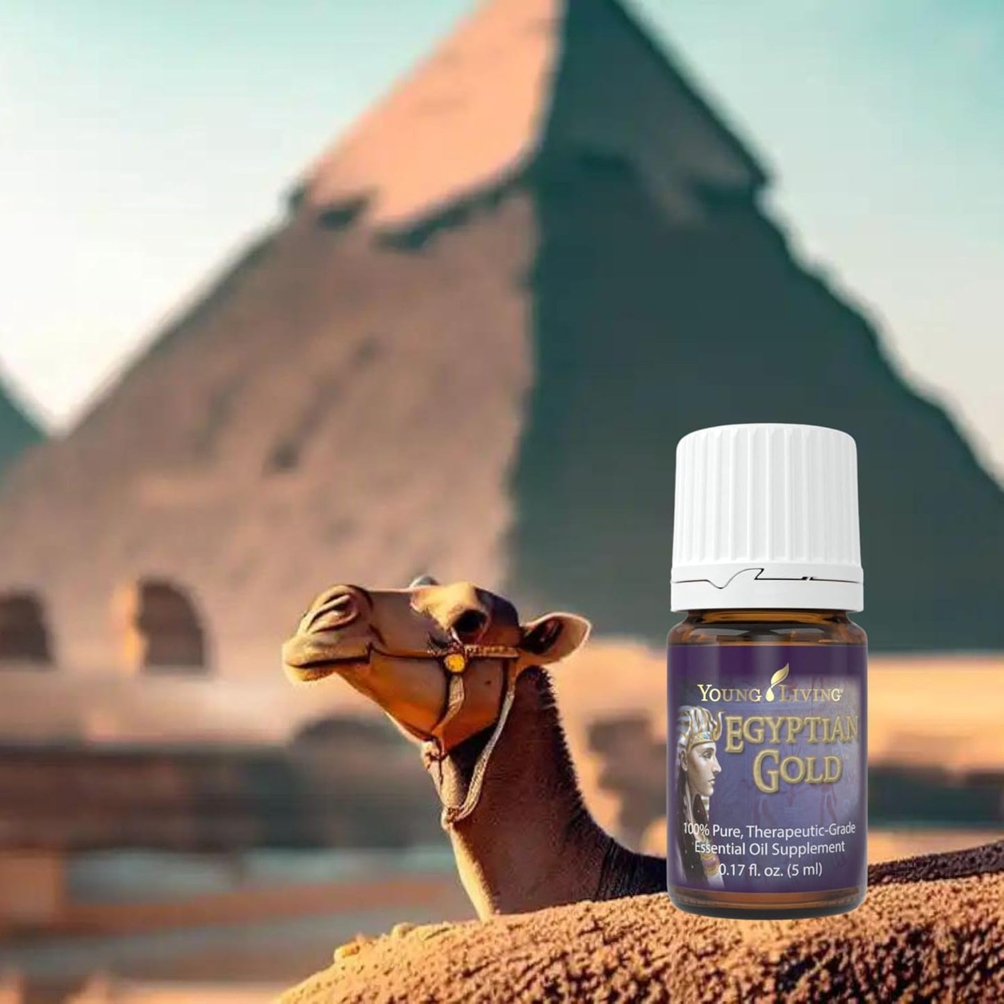 Young Living - Egyptian Gold Essential Oil 5 ml | Ancient Biblical Oils | Aromatic Devotion Blend | Exotic Musky Aroma | Spiritual Aromatherapy for Meditation & Relaxation