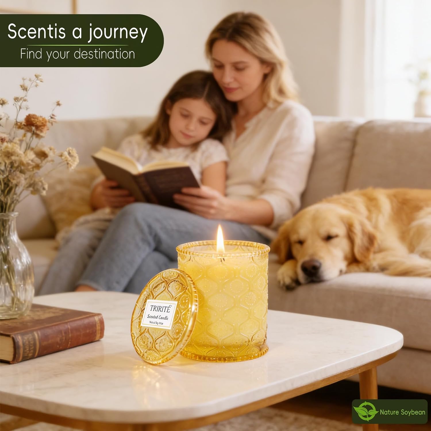 Sandalwood Fig Amber Scented Candles, Natural Soy Wax Jar Candle in Glass 45 Hours Clean Burn, Gift-Ready for Hosts & Gatherings Elegant Home Décor