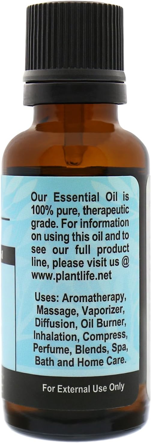 Plantlife Spearmint Aromatherapy Essential Oil - Straight from The Plant 100% Pure Therapeutic Grade - No Additives or Fillers - 30 ml