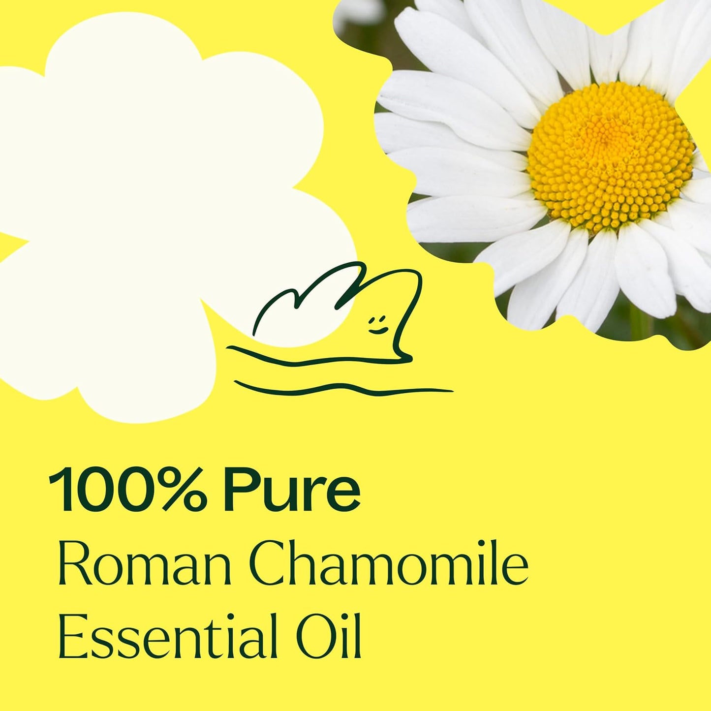 Plant Therapy Roman Chamomile Essential Oil, 10 mL (1/3 oz), 100% Pure, Undiluted, Great for Essential Oil Diffusers, Promotes Restful Sleep, Supports Healthy Skin