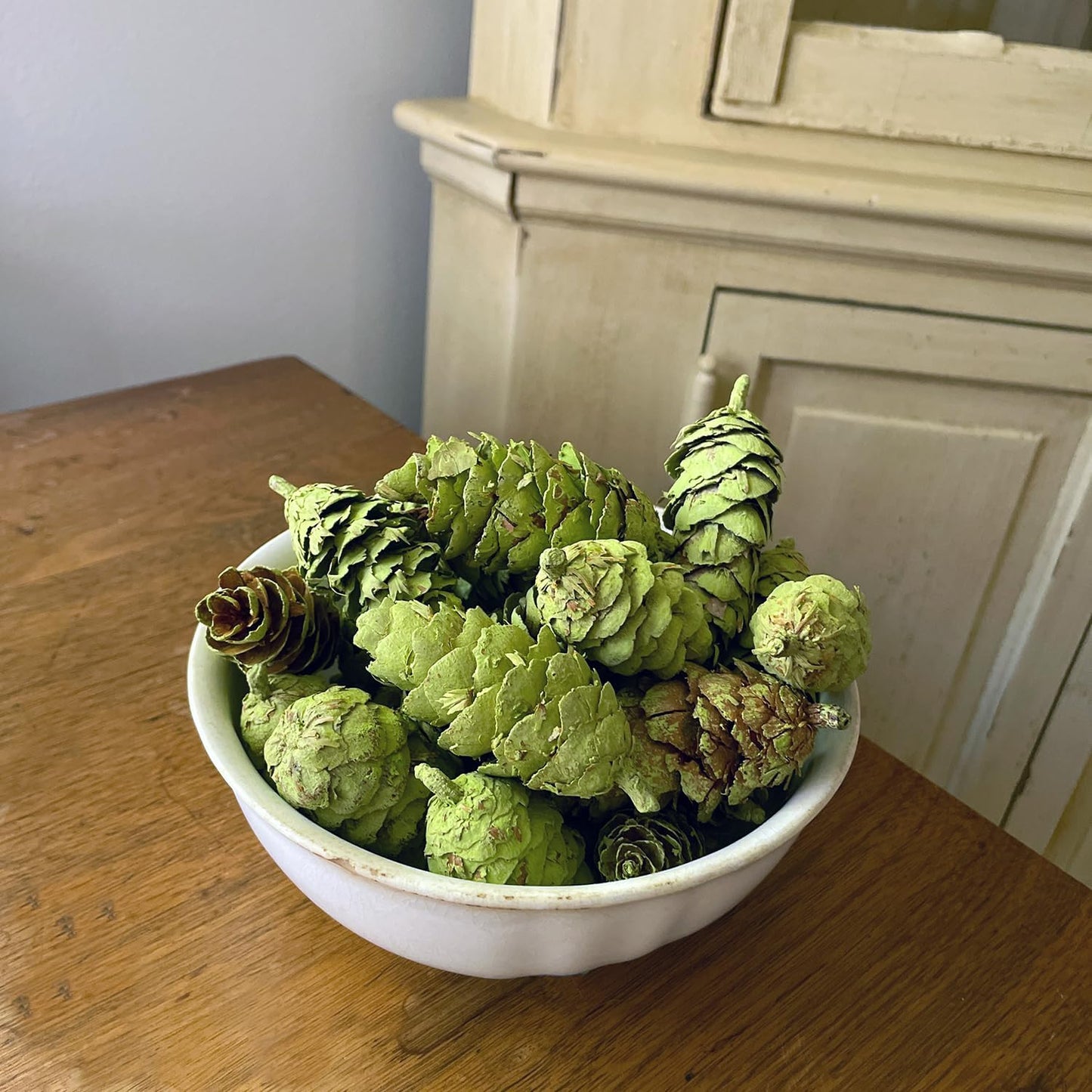 Hillhouse Naturals - Potpourri Pine Cones - Fragrant Versatile Potpourri Bowl Filler & Winter/Holiday Decor - with Pine, Cedar & Citrus Peel - Made in the USA - Green - Cedar & Pine Scent - 8 oz