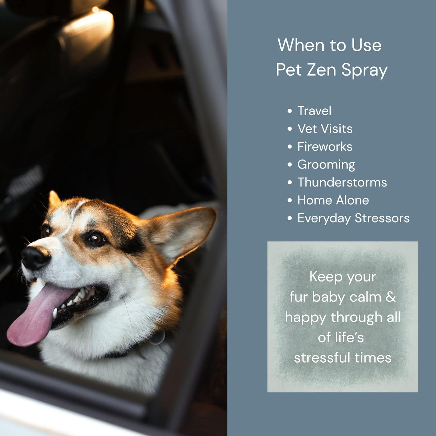 Pet Zen Pheromone Calming Spray for Dogs - Made in the USA - Alcohol-Free - for Carriers, Bedding, Travel & Vet Visits
