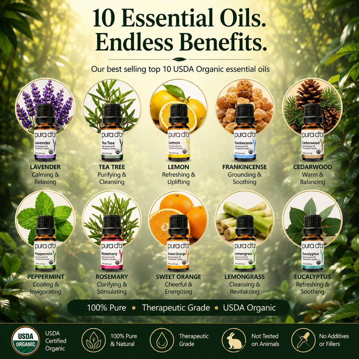 PURA D'OR Organic Perfect10 Essential Oils Aromatherapy Box Set