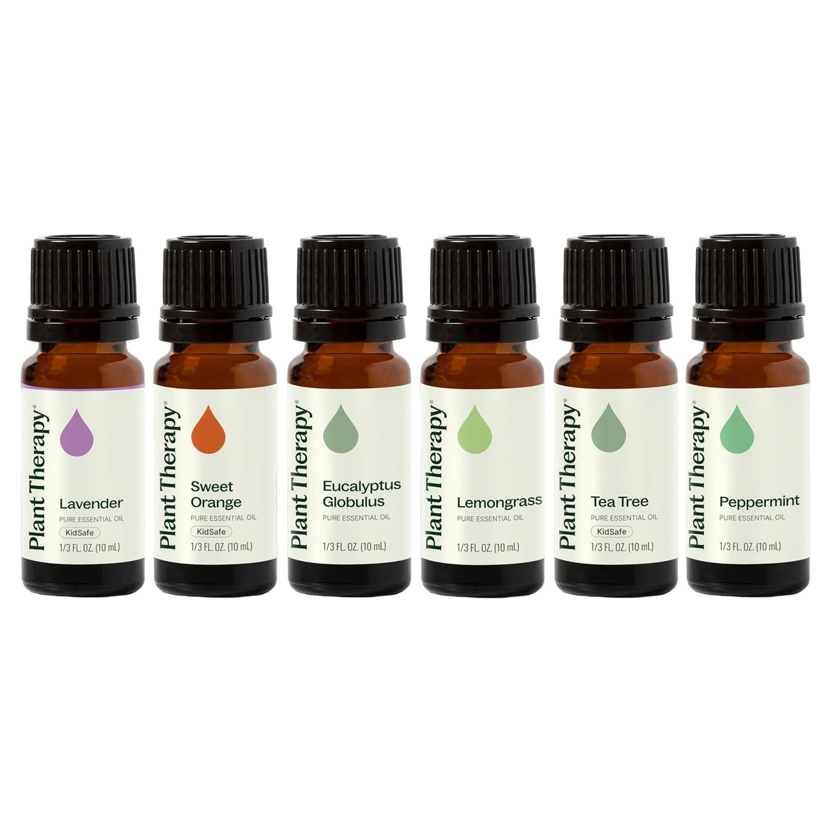 Plant Therapy Breathe Easy Essential Oil Set of 6 Bottles 10 mL (1/3 oz) Each
