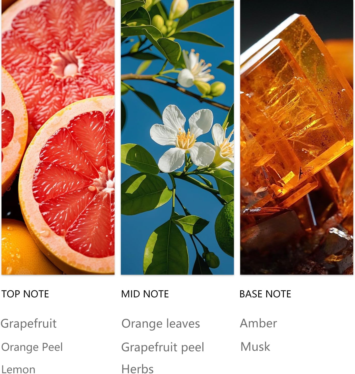 20ML Grapefruit Diffuser Oil Sampler Scented Oils for Waterless Diffuser, Aromatherapy Essential Oil with Festive Notes of Zesty Citrus, Amber