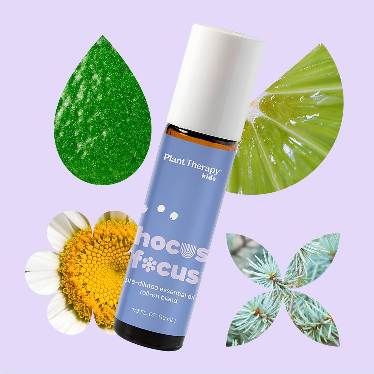 Plant Therapy Kids Hocus Focus Essential Oil Blend Pre-Diluted Roll-On 10 mL (1/3 oz) Aromatherapy Blend for Focus, Attention, and Concentration, KidSafe