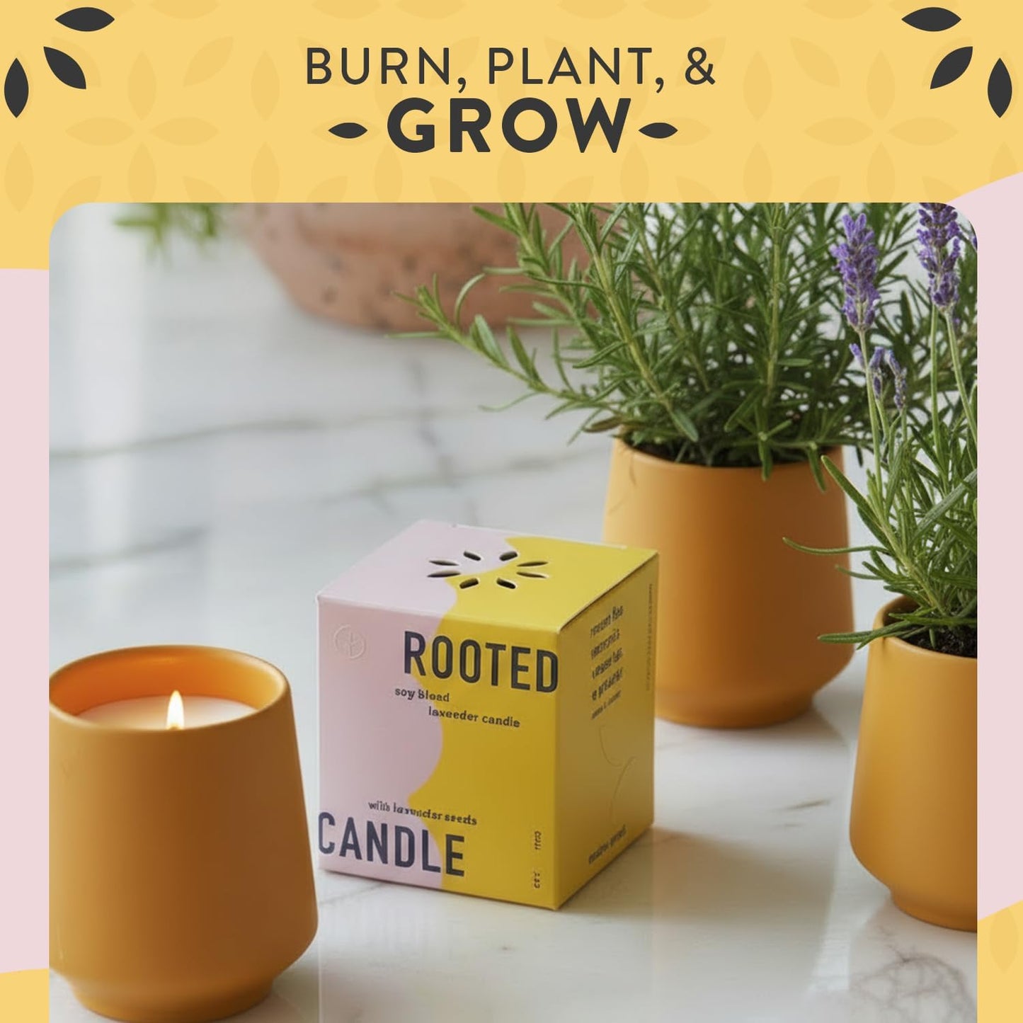 Modern Sprout - 2 in 1 Cedarwood Scented & Soy Candle with Seeds that Grows into Lavender Plant - 6 oz w/ 42 hr Burn time in Matte Glaze Ceramic Vessel Ideal for Indoor Herb Garden