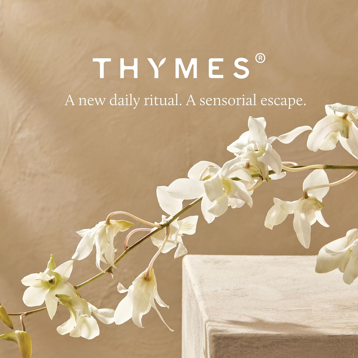 Thymes Nourishing Body Cleanser - Large Moisturizing Body Wash with Pump - Hydrating Cleanser - Notes of Velvety Lavender, Warm Rosewood, Fresh Clary Sage, & Earthy Violet (Lavender, 16 fl oz)