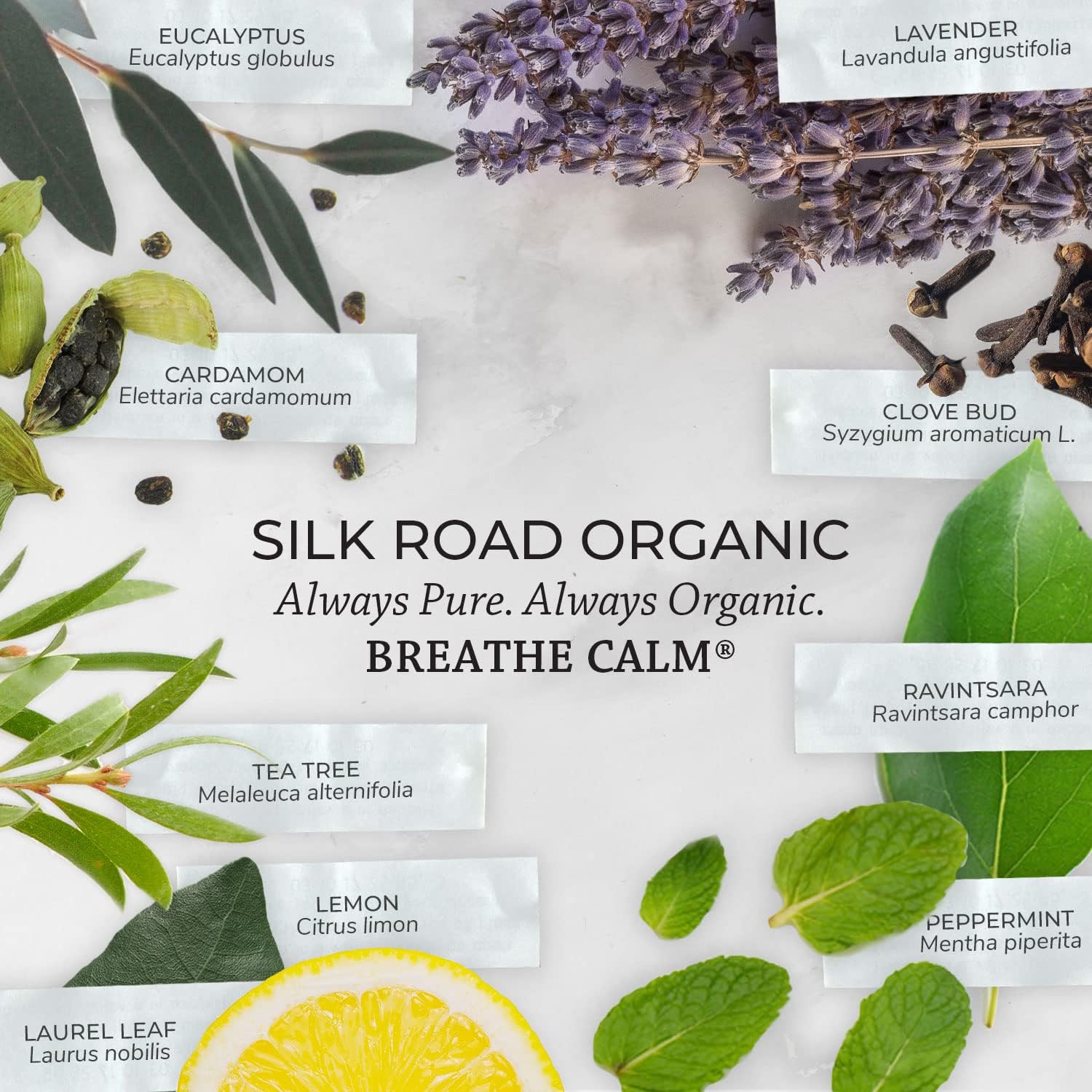 Silk Road Organic Breathe Calm Essential Oil Breathe Easy Blend for Cold, Cough, Congestion, Sinus & Allergy Support – USDA Certified Aromatherapy undiluted 10 ml Dropper