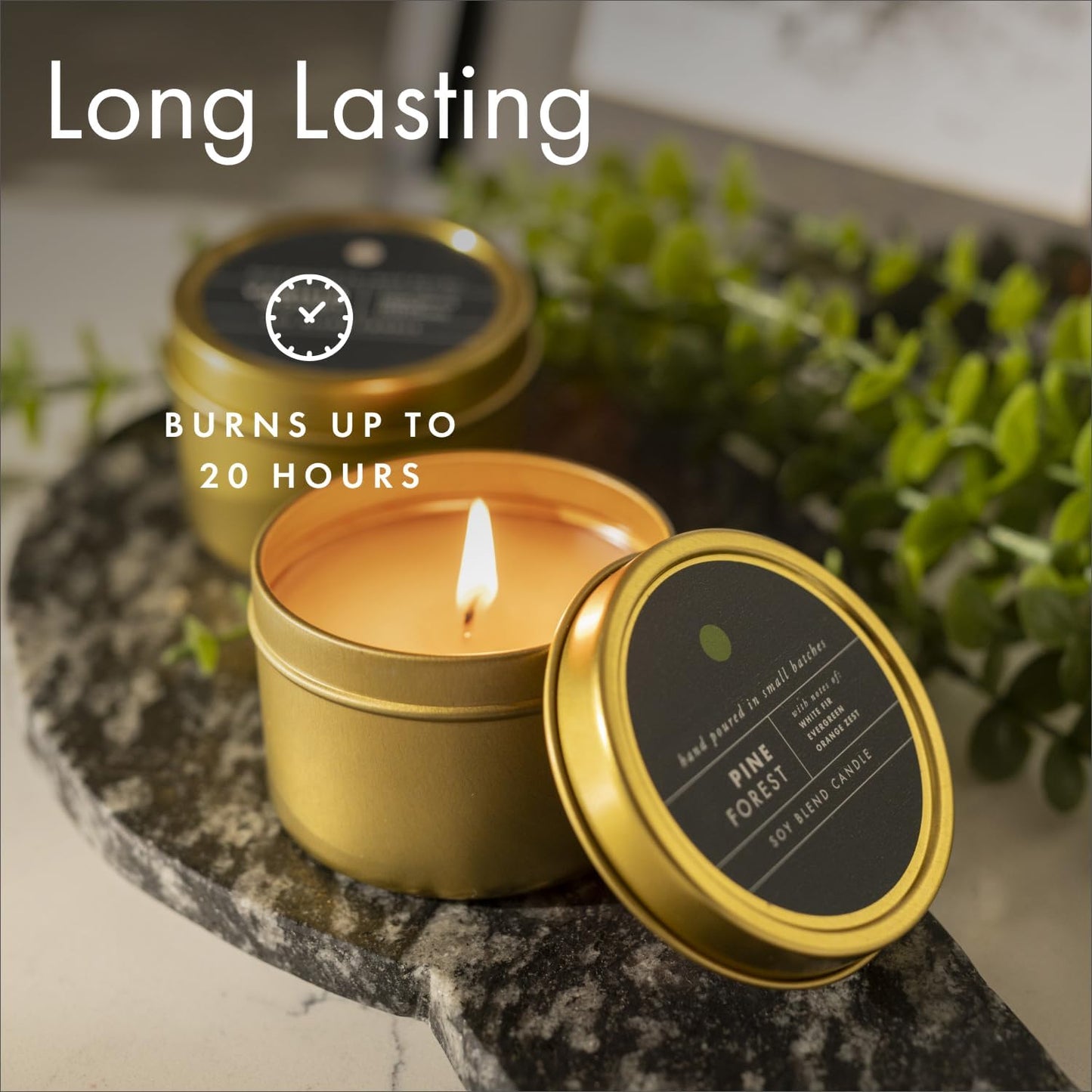 ScentAir Tin Candle - 3 oz. Soy Wax Blend Candle Hand Poured in Small Batches, Up to 20-Hour Burn Time, Seasonal Holiday Scent, Pine Forest