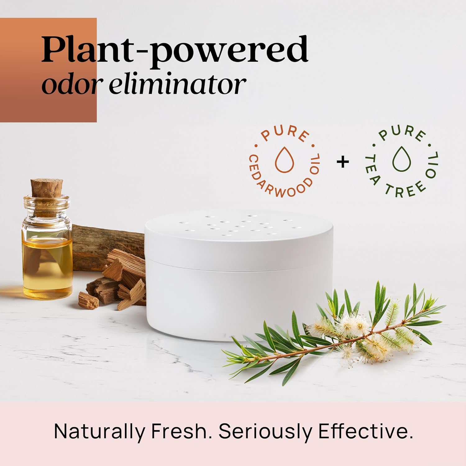 Azuna Pet Odor Eliminator for Strong Odor Gel | Plant Powered Australian Tea Tree Oil | Dog and Cat Room Deodorizer | Child and Pet Safe Air Fresheners for home | Cedarwood Scent | 8oz Pod