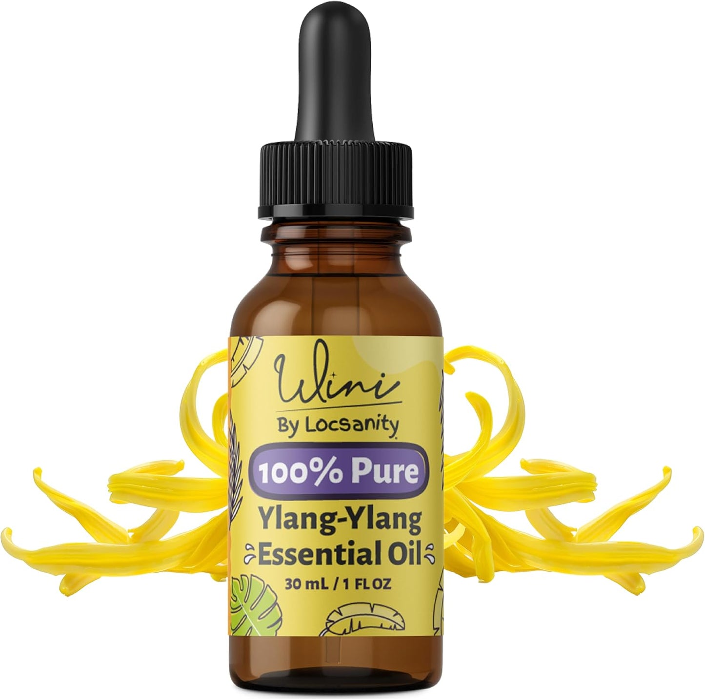 WINI by Locsanity Ylang-Ylang Essential Oil with Glass Dropper | 100% Pure & Natural Ylang-Ylang Diffuser Oil | Premium Grade Essential Oils for Skin Care, Aromatherapy, Hair & Scalp, Massage | 30ml