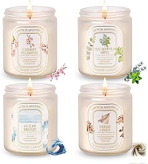 YINUO Scented Candles Gift Set – 4 Pack Natural Soy Wax Aromatherapy Candles, Eucalyptus Mint, Floral & Fresh Scents, Long-Lasting Clean Burn Candle for Home Relaxation & Birthday Gifts for Women