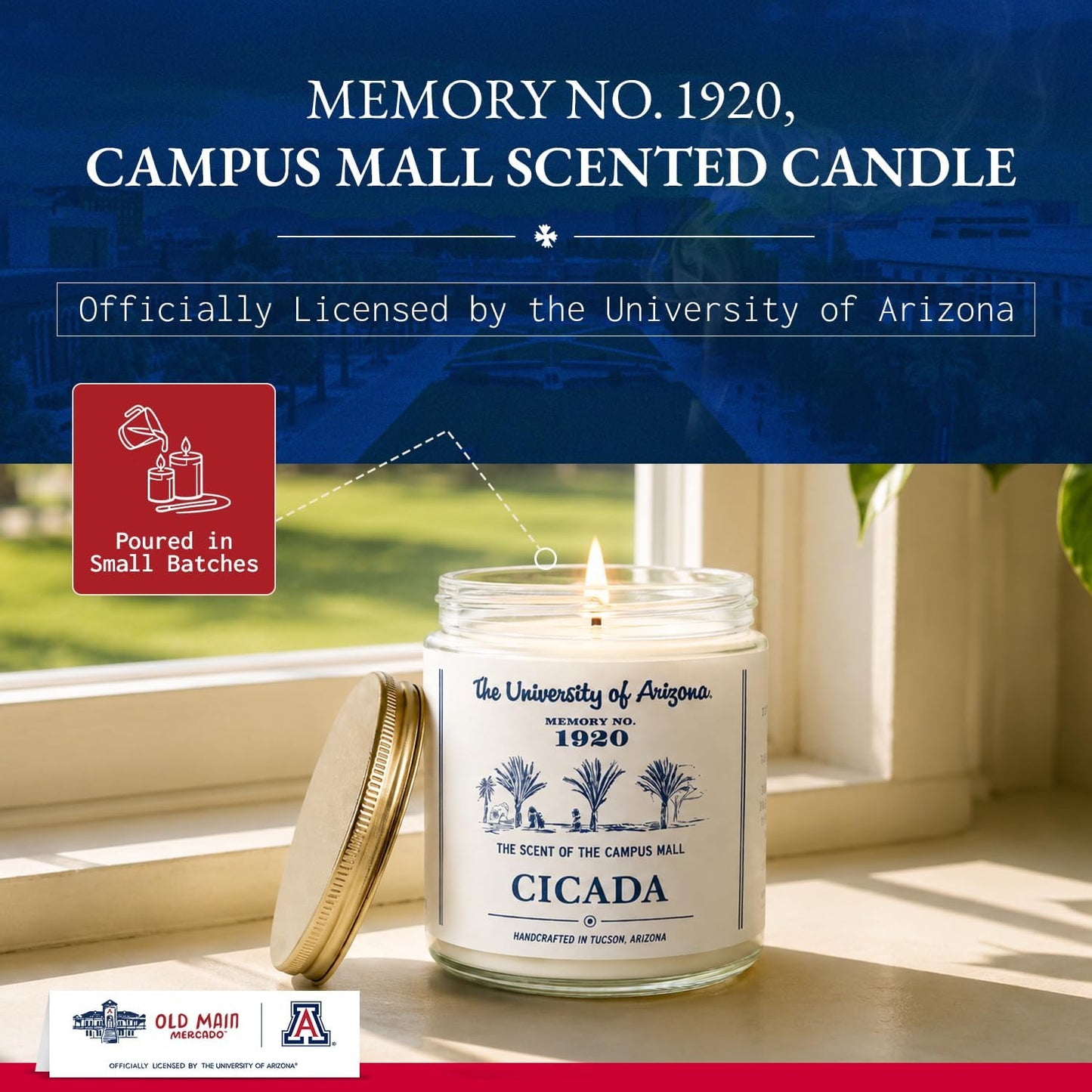 CICADA Campus Mall Scented Candle, Memory No. 1920, University of Arizona Inspired Coconut-Soy Blend Wax, Fresh Cut Grass Green Stems Desert Air Aroma, Hand Poured Arizona Reveries Home Fragrance