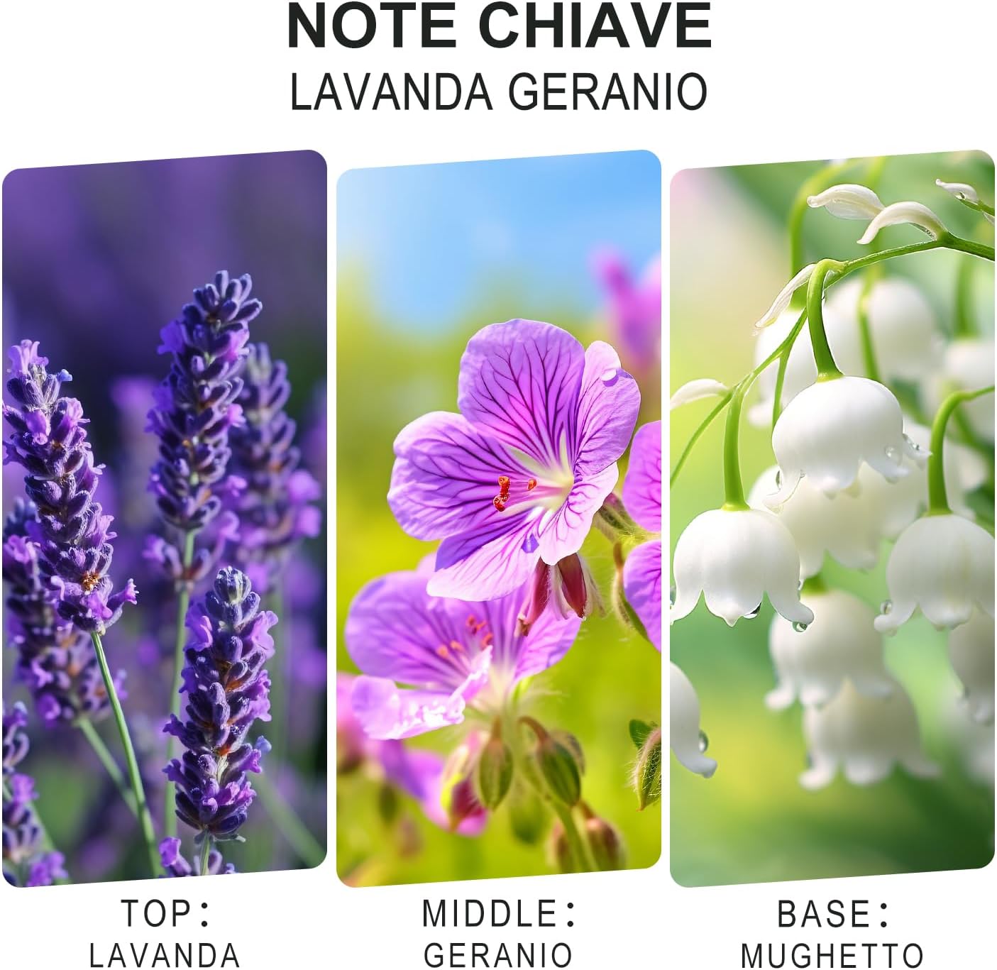 Reed Diffuser, 4.06 oz(120ml) Lavender & Geranium Scented Diffuser with 4 Sticks, Diffusers Home Fragrance Essential Oil Reed Diffuser Set for Home Large Rooms Bathroom Shelf Decor