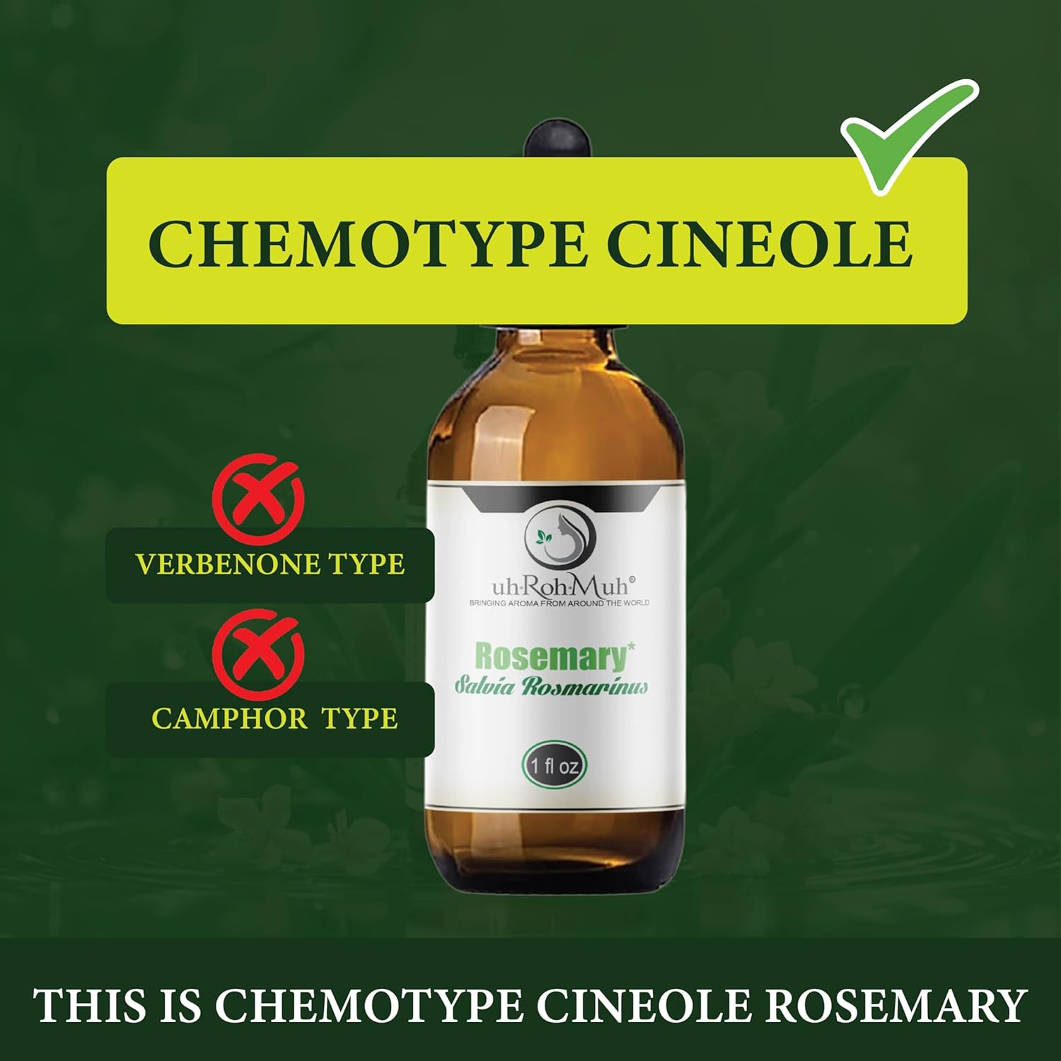 Organic Rosemary Essential Oil Chemotype Cineole | 100% Pure Steam Distilled Rosemary Oil | Fresh Herbaceous Aroma for Diffuser Aromatherapy, Massage Blends & DIY Recipes | Spain – 2 Fl Oz
