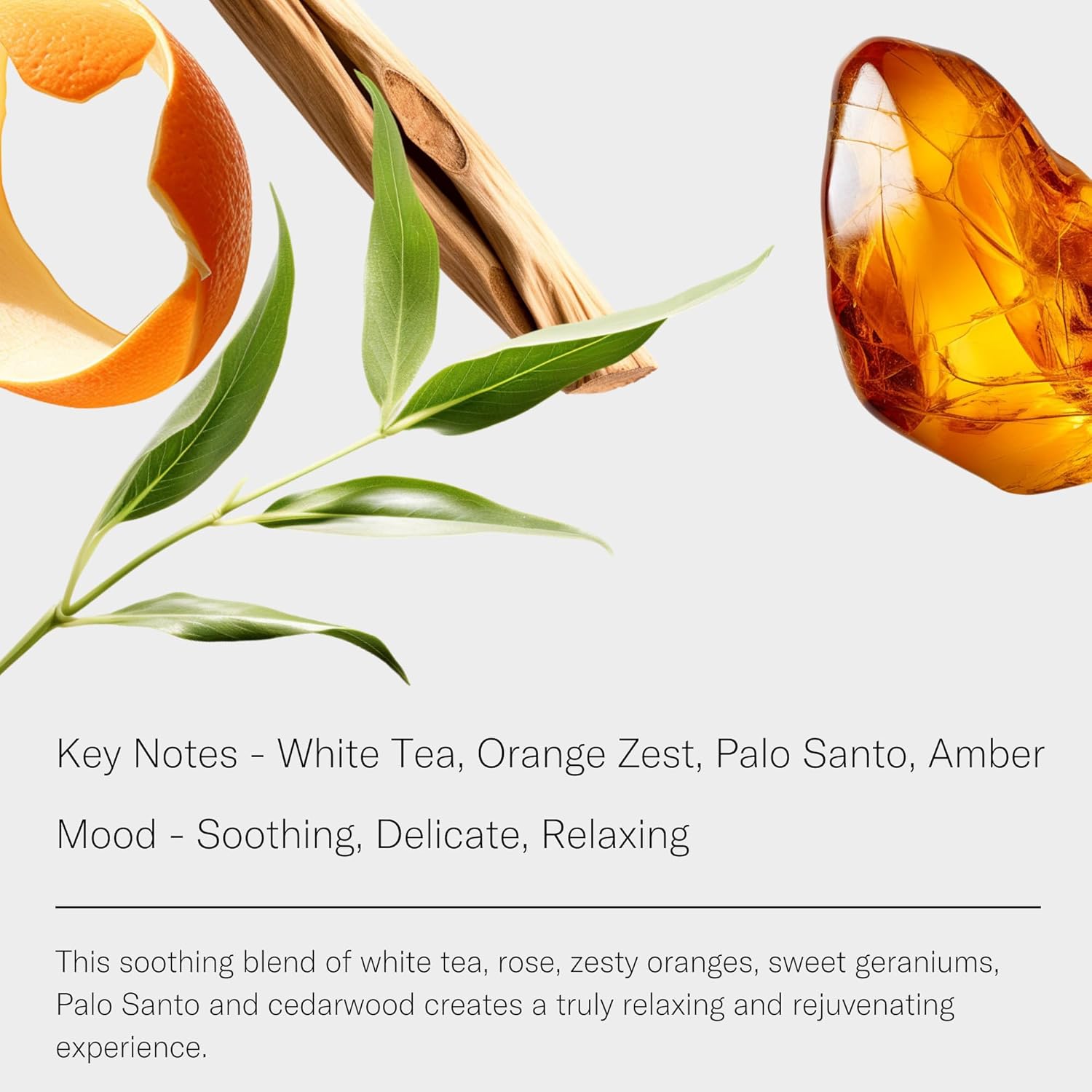 AromaTech White Tea Aroma Essential Oil Blend: Luxury Hotel Inspired Aromatherapy with White Tea, Orange & Palo Santo for Ultrasonic Diffusers & Nebulizers (10 mL)