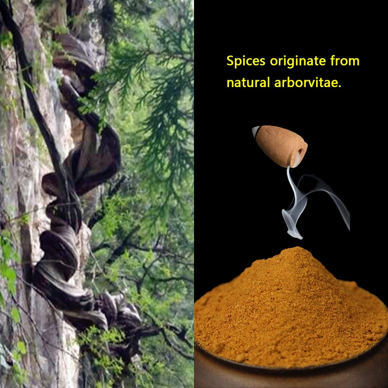 450 Pcs Backflow Incense Cones - Waterfall Incense Cone, 9 Natural Plant Fragrances, Burner Holder
