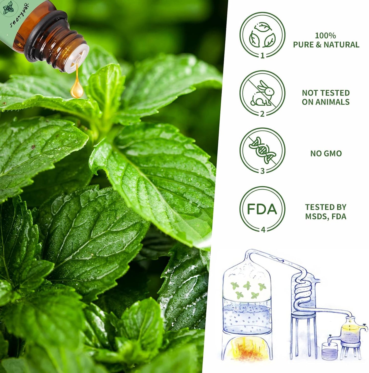 yethious Peppermint Eucalyptus Essential Oil 10ML Natural Peppermint Essential Oil Gift Set for Aromatherapy & Diffuser, Fragrance, Soap Candle Making