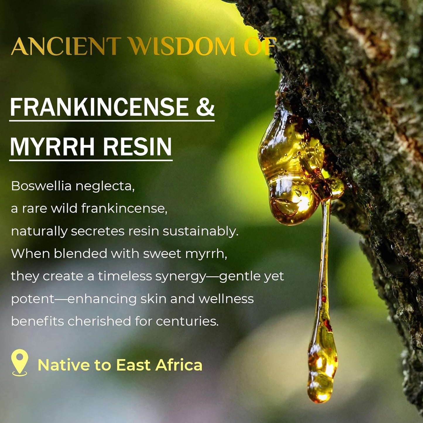 FeeMeFee Frankincense Balm 2oz, Frankincense Essential Oil with Myrrh for Soothing Relief, Muscle Relaxation, Boswellia Serrata, Olive Oil, Vitamin E, Moisturizer for Dry, Cracked Skin