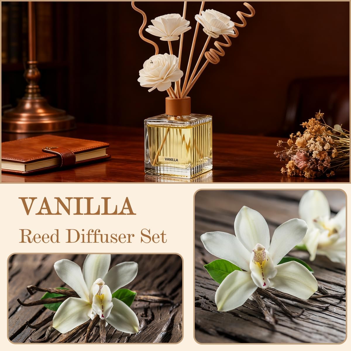 Jasmine & Sandalwood Reed Diffuser - 6.7 oz Glass Bottle with 4 Rattan Sticks, 3 Dried Flowers | Adjustable, Long-Lasting Scent for Home, Bedroom, Living Room, Office, Bathroom | Aromatherapy Gift
